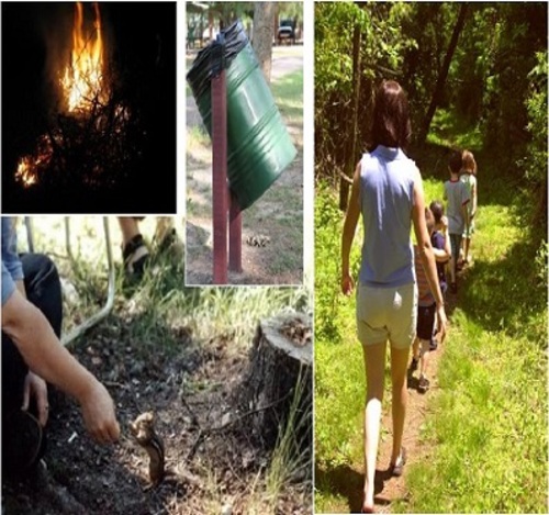 Product picture The Book of Camping